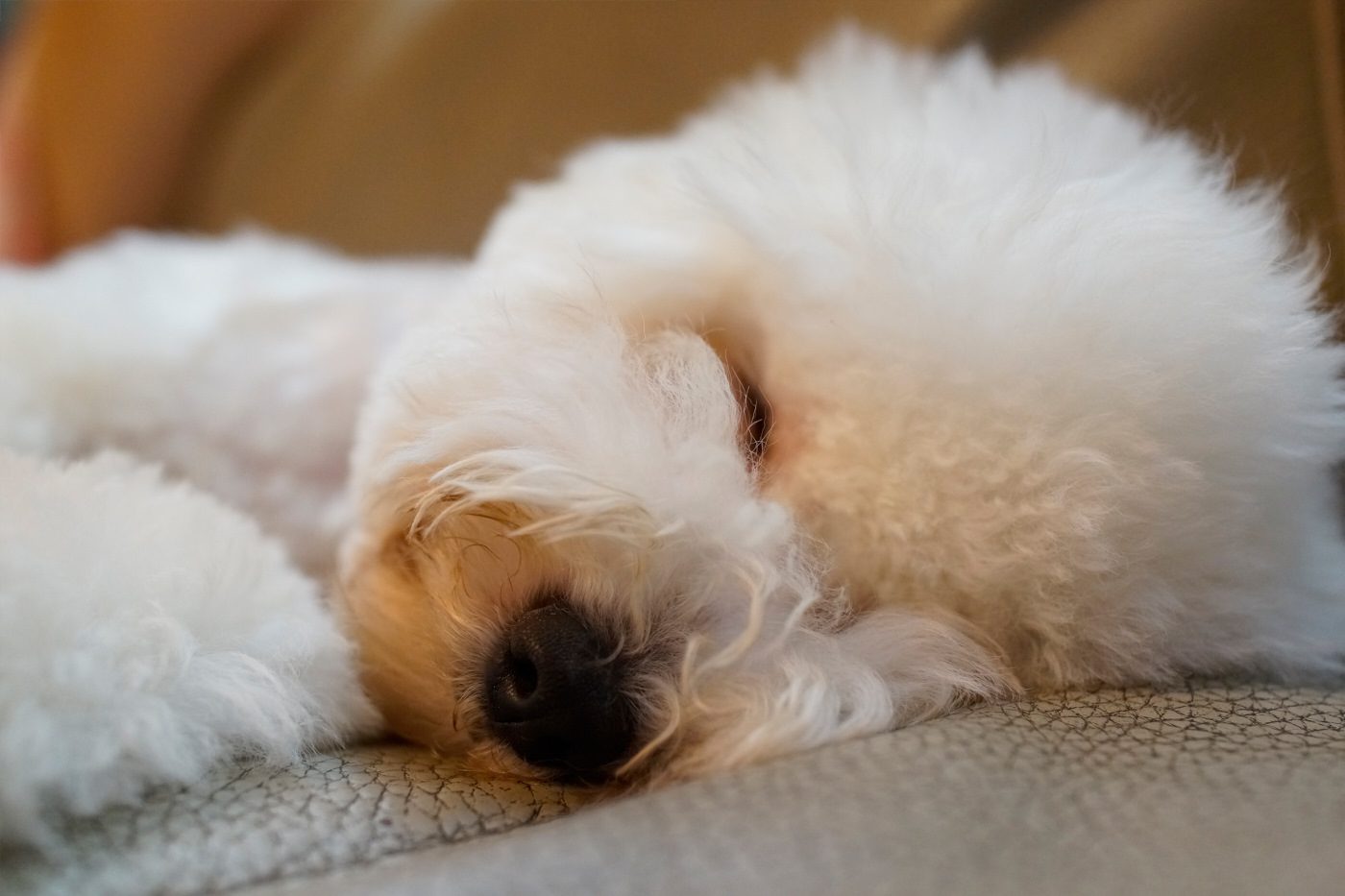 DSC-RX1 2014-09-12 21:42:12 f/2.8 1/160sec ISO-2500 35mm