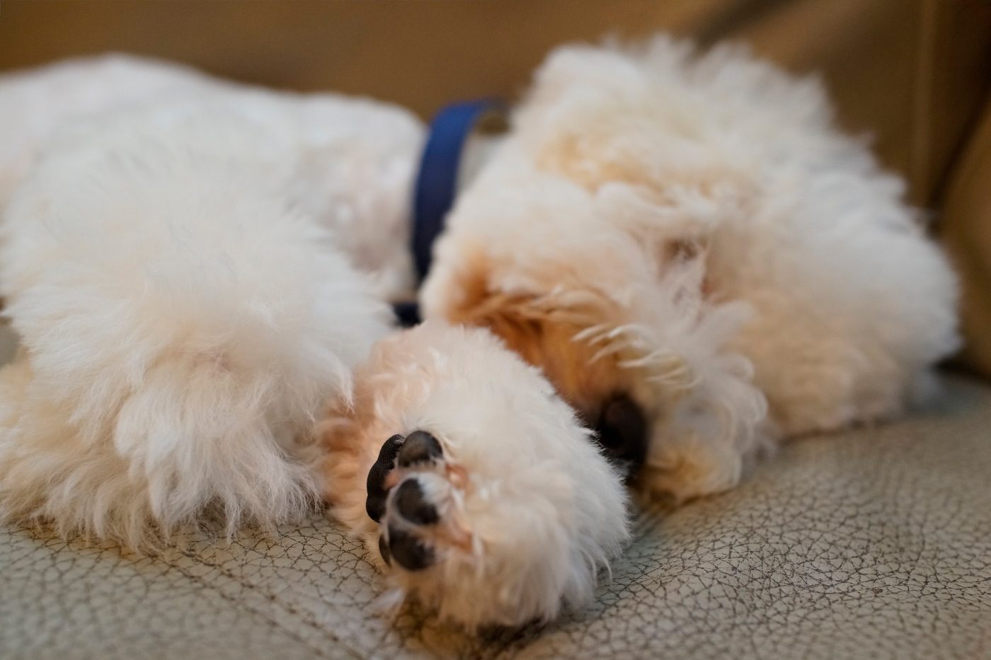 DSC-RX1 2014-09-12 21:44:25 f/2.8 1/160sec ISO-2000 35mm