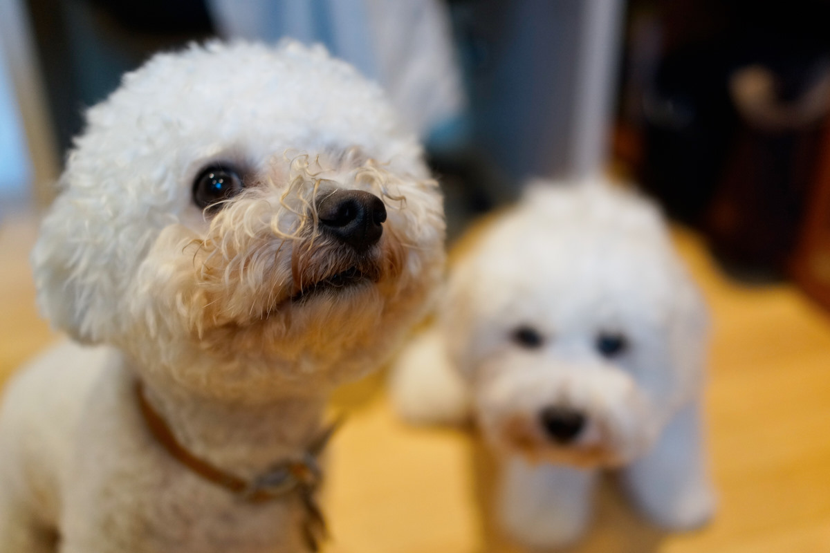   DSC-RX1  2014-08-12 17:17:11  f/2 1/160sec ISO-1250 35mm