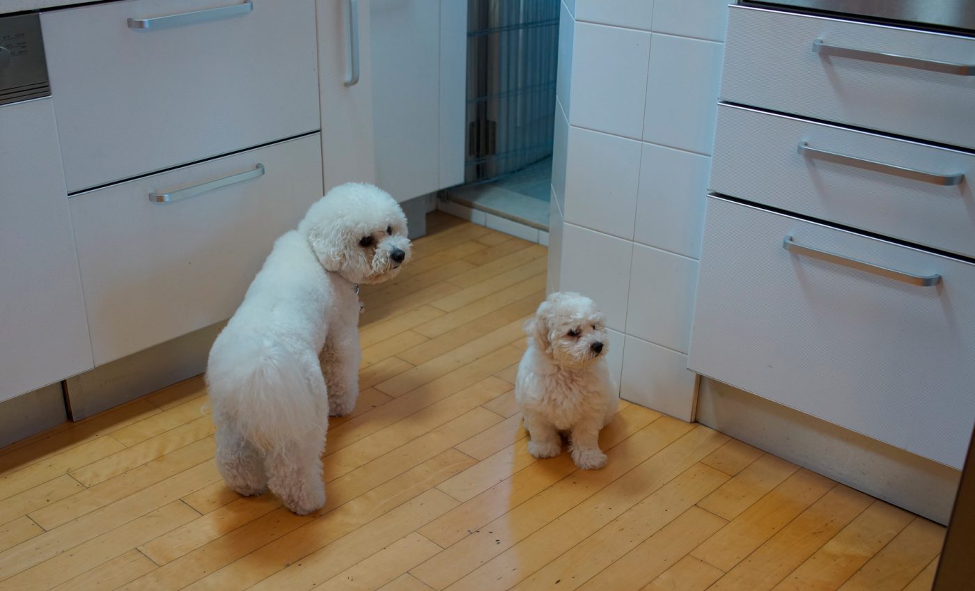  DSC-RX1 2014-05-25 07:28:03 f/2.8 1/125sec ISO-640 35mm