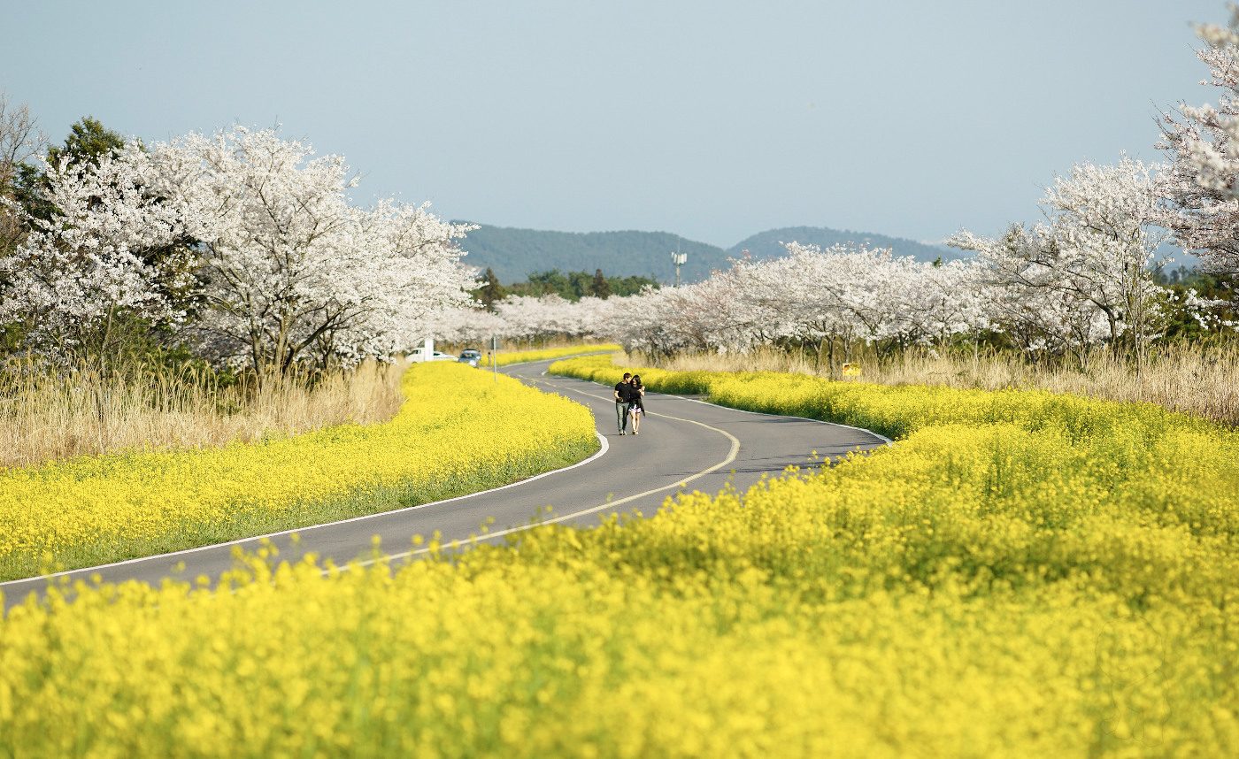   ILCE-7R  2014-04-01 16:18:05  f/2.8 1/1600sec ISO-100 135mm