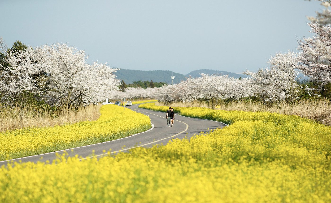   ILCE-7R  2014-04-01 16:18:28  f/2.8 1/1600sec ISO-100 135mm