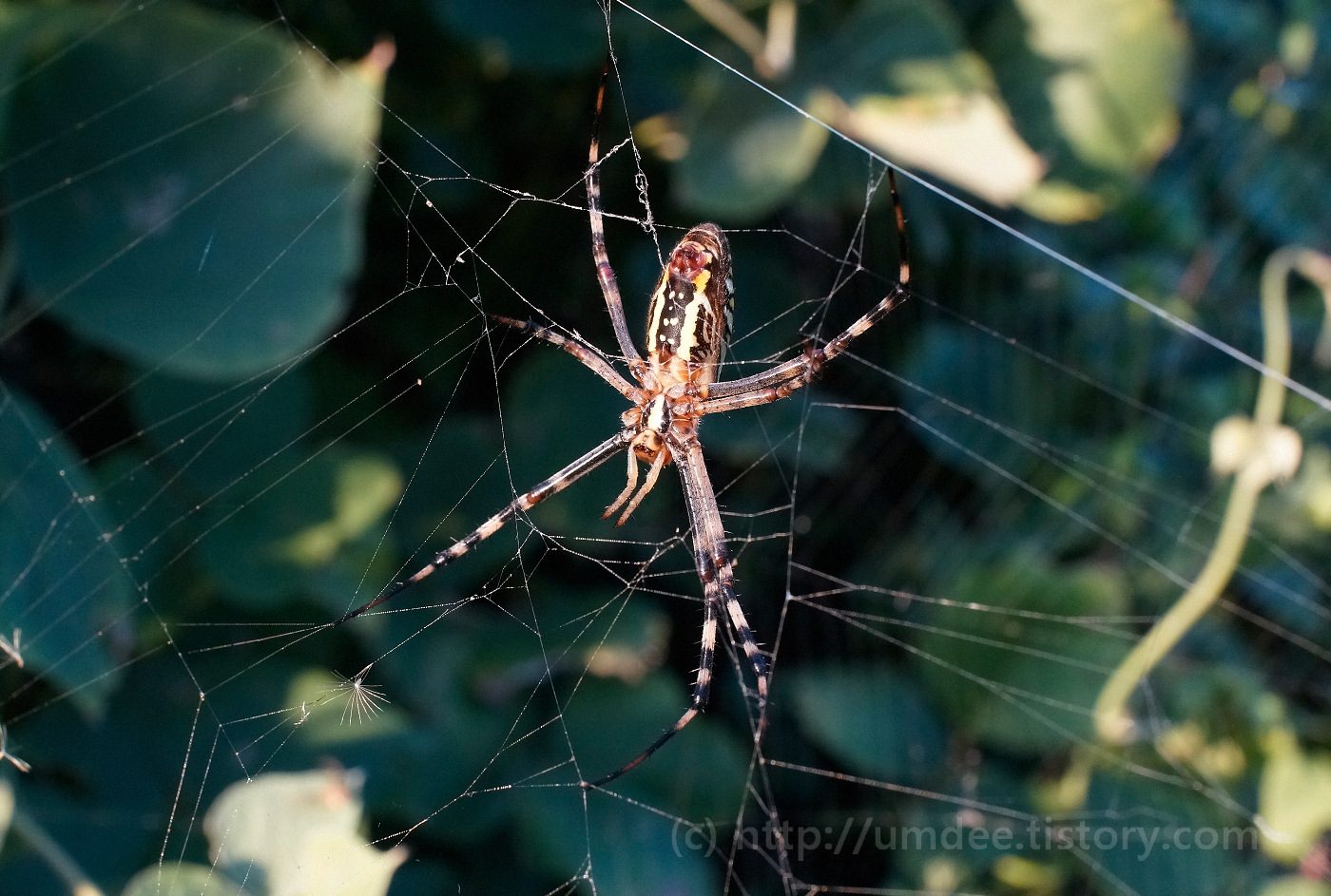   DSC-RX1  2013-09-21 17:54:25  f/11 1/200sec ISO-2000 35mm