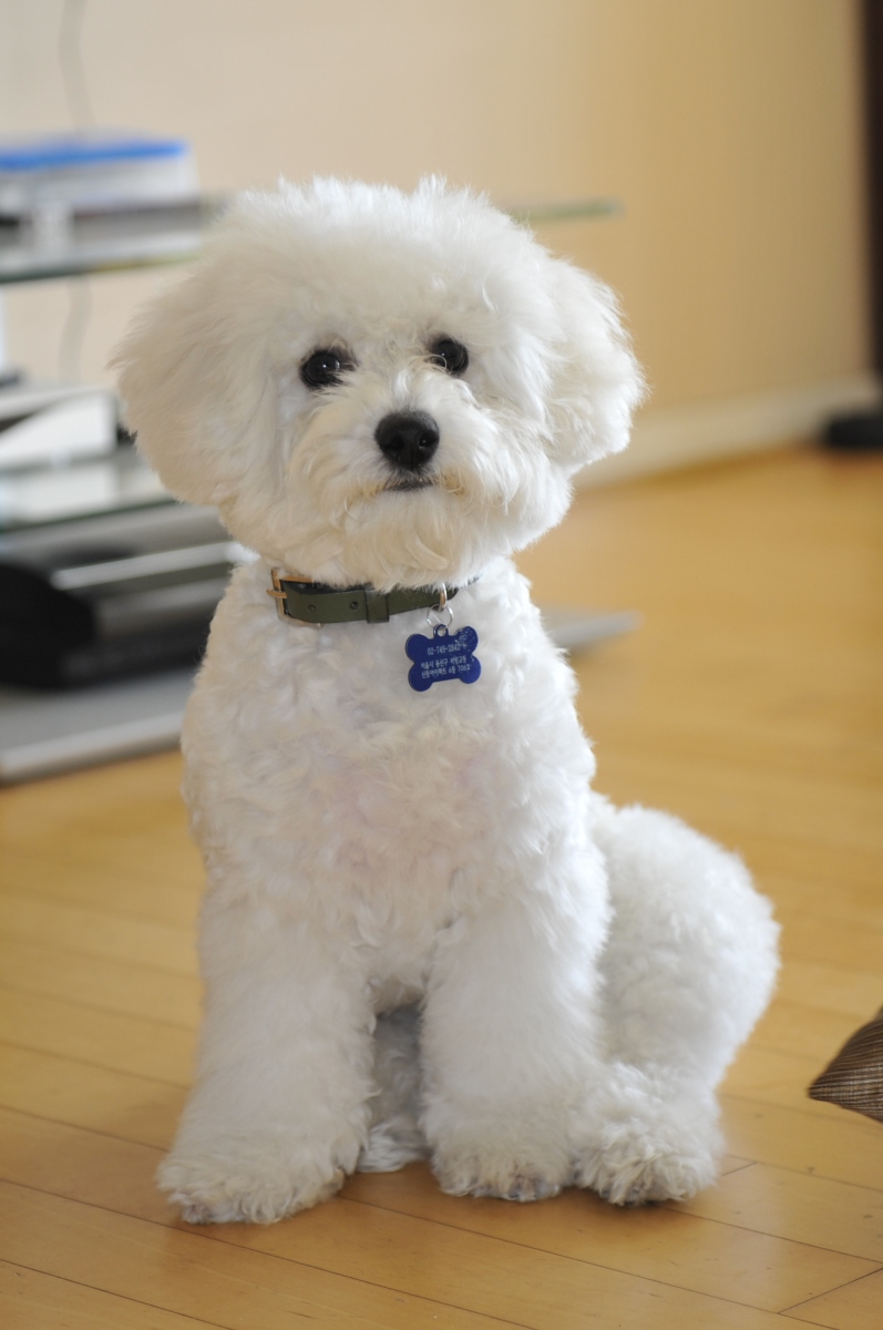 NIKON D700 2012-03-11 11:13:02 f/2.8 1/250sec ISO-400 66mm