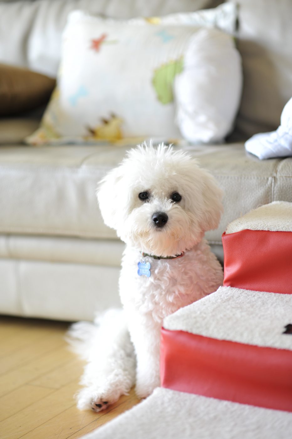 NIKON D700 2012-03-25 09:02:25 f/2 1/250sec ISO-400 85mm