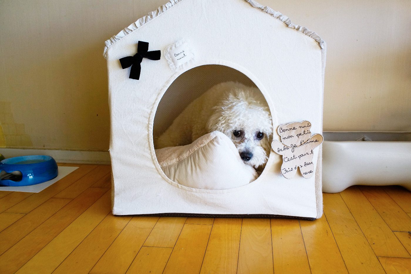 DSC-RX1 2014-01-02 09:52:24 f/5.6 1/200sec ISO-800 35mm