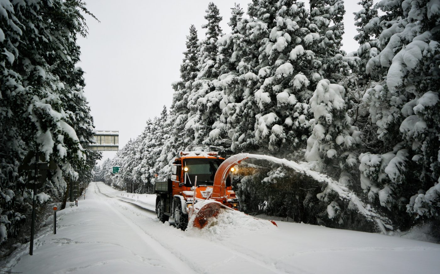  ILCE-7R 2016-01-26 08:55:53 f/4 1/250sec ISO-160 30mm