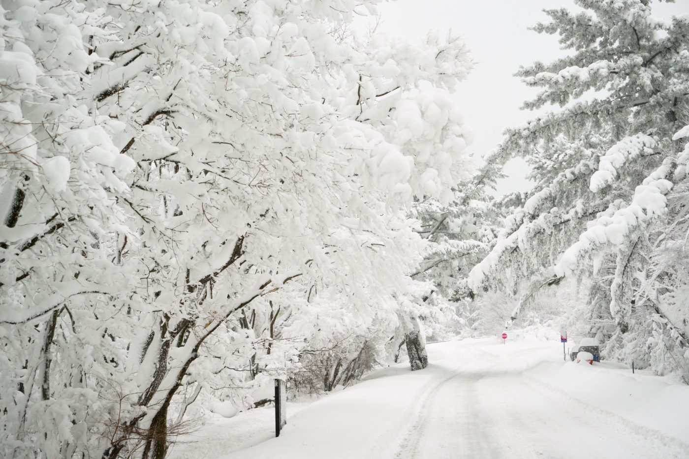  ILCE-7R 2016-01-26 09:40:17 f/5 1/250sec ISO-250 49mm