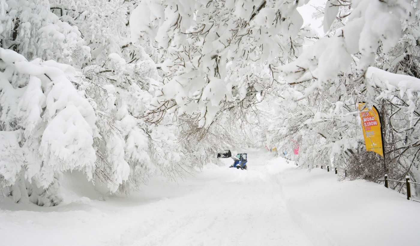  ILCE-7R 2016-01-26 10:25:48 f/7.1 1/250sec ISO-500 38mm