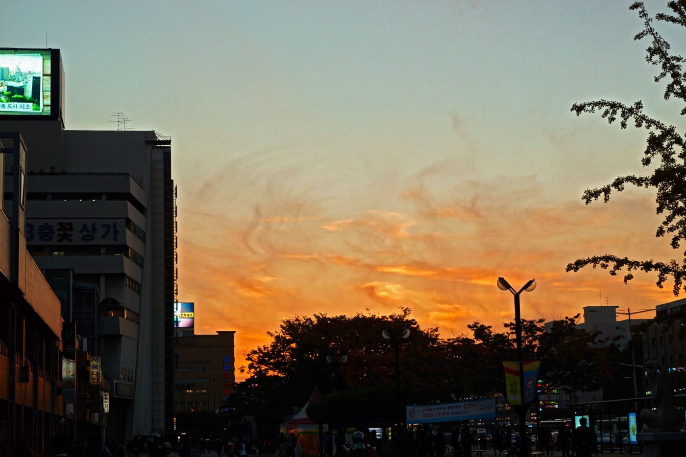 ILCE-7R 2014-10-17 08:53:26 f/11 1/125sec ISO-1000 70mm