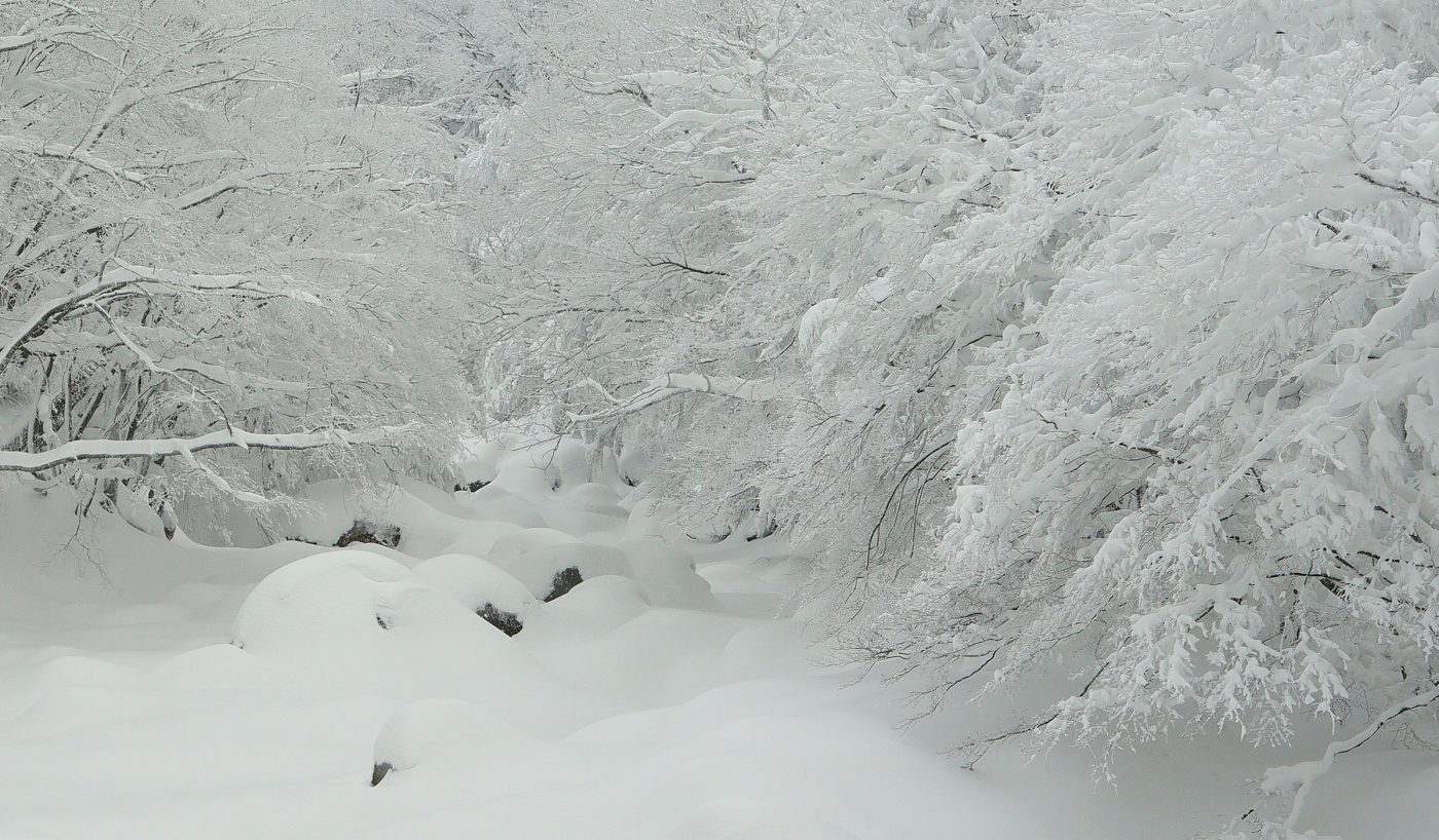 ILCE-7R 2016-01-26 16:21:15 f/9 1/320sec ISO-400 37mm