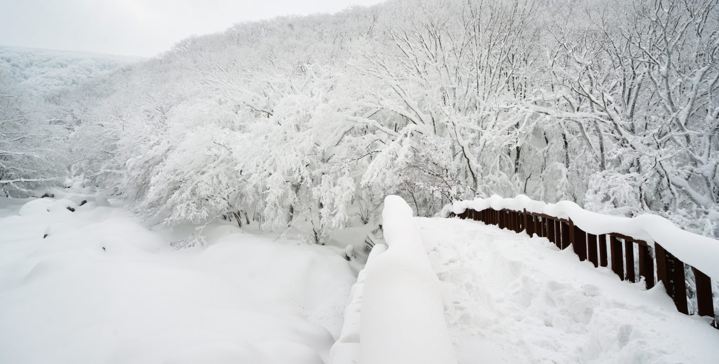 ILCE-7R 2016-01-26 16:22:04 f/9 1/320sec ISO-400 24mm