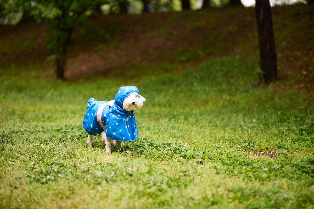   NIKON D700  2013-05-19 07:31:52  f/2 1/200sec ISO-200 85mm