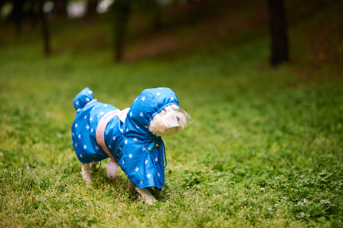   NIKON D700  2013-05-19 07:32:01  f/2 1/250sec ISO-200 85mm