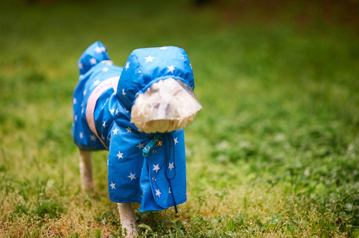   NIKON D700  2013-05-19 07:32:02  f/2 1/250sec ISO-200 85mm