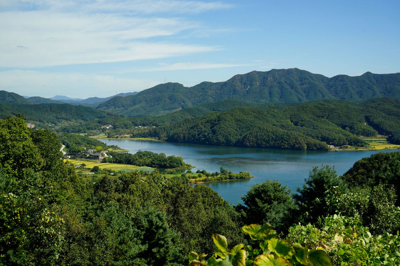  ILCE-7R 2015-09-29 13:12:24 f/7.1 1/320sec ISO-100 43mm