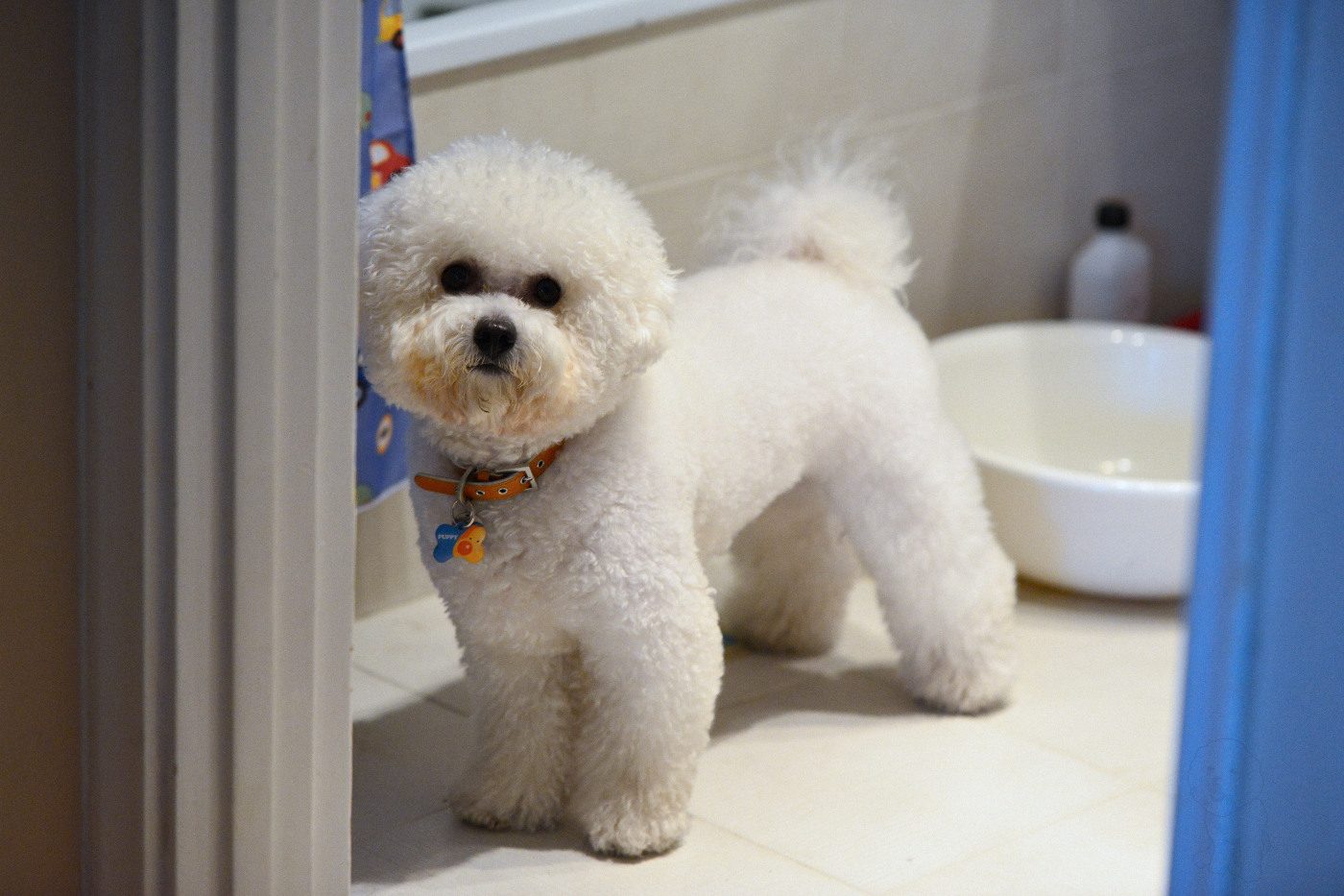 NIKON D800 2013-12-22 16:25:22 f/3.2 1/160sec ISO-2200 135mm