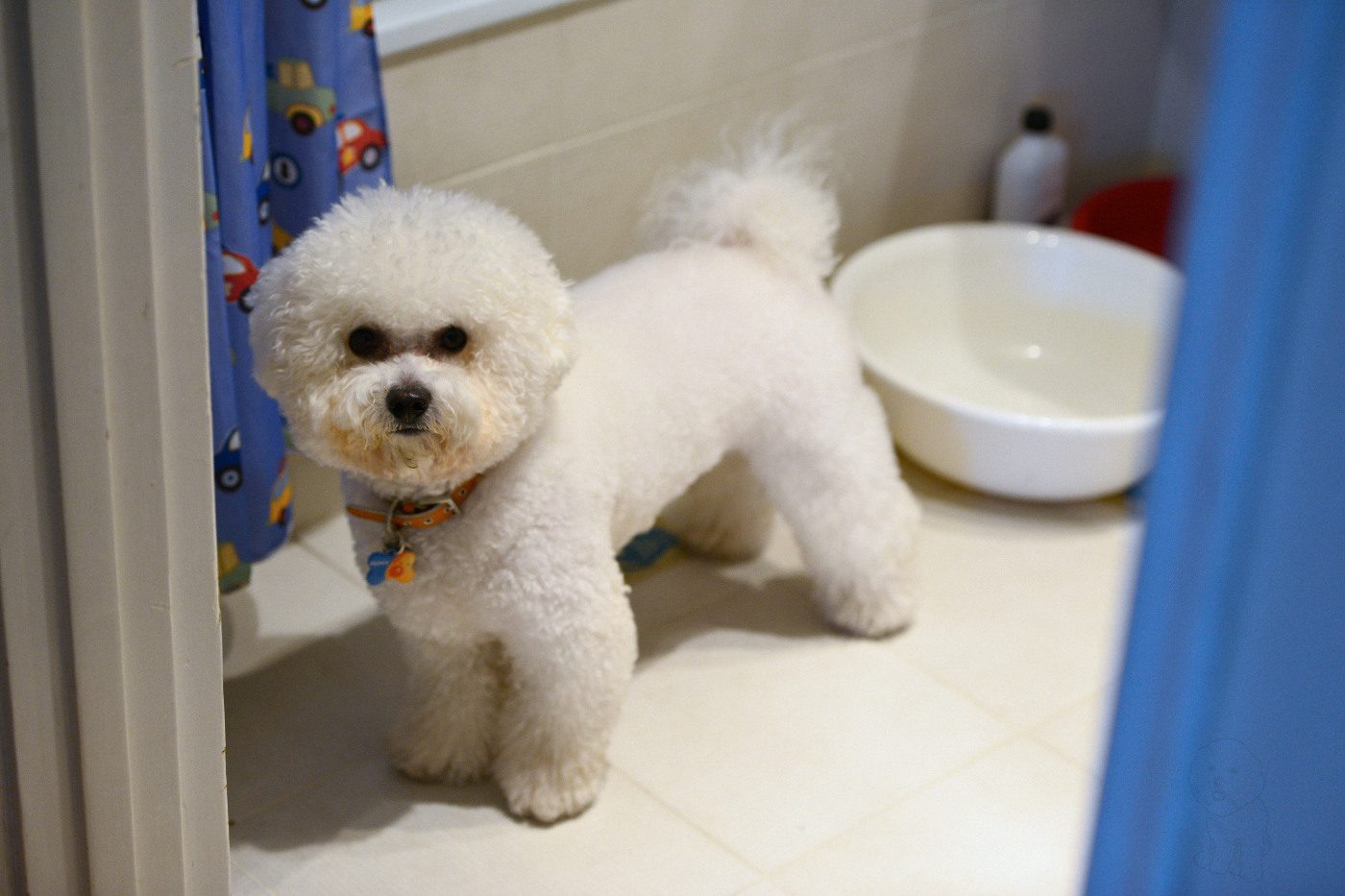 NIKON D800 2013-12-22 16:25:36 f/3.2 1/80sec ISO-1000 78mm