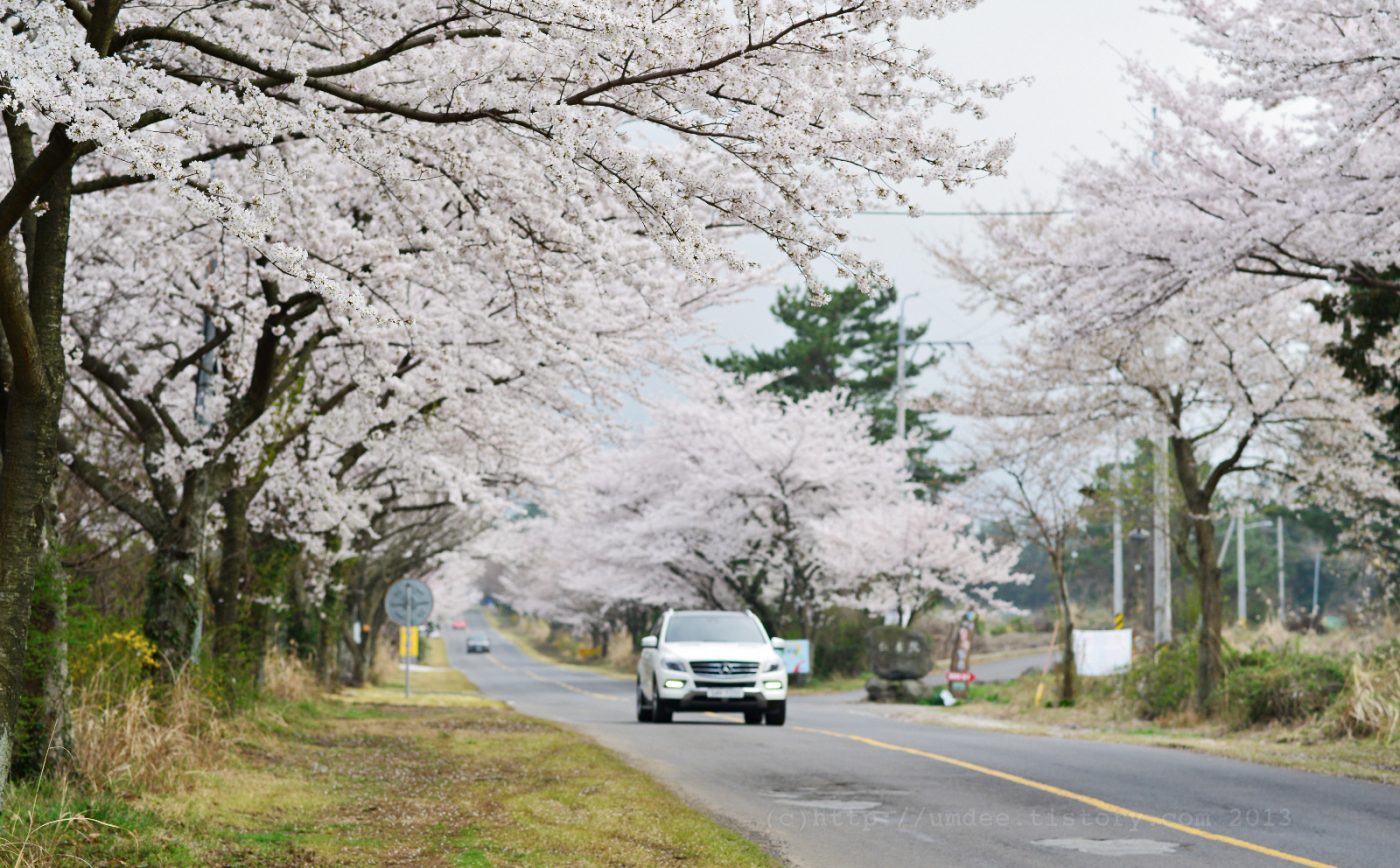   NIKON D800  2014-03-31 16:36:48  f/4.5 1/640sec ISO-320 85mm