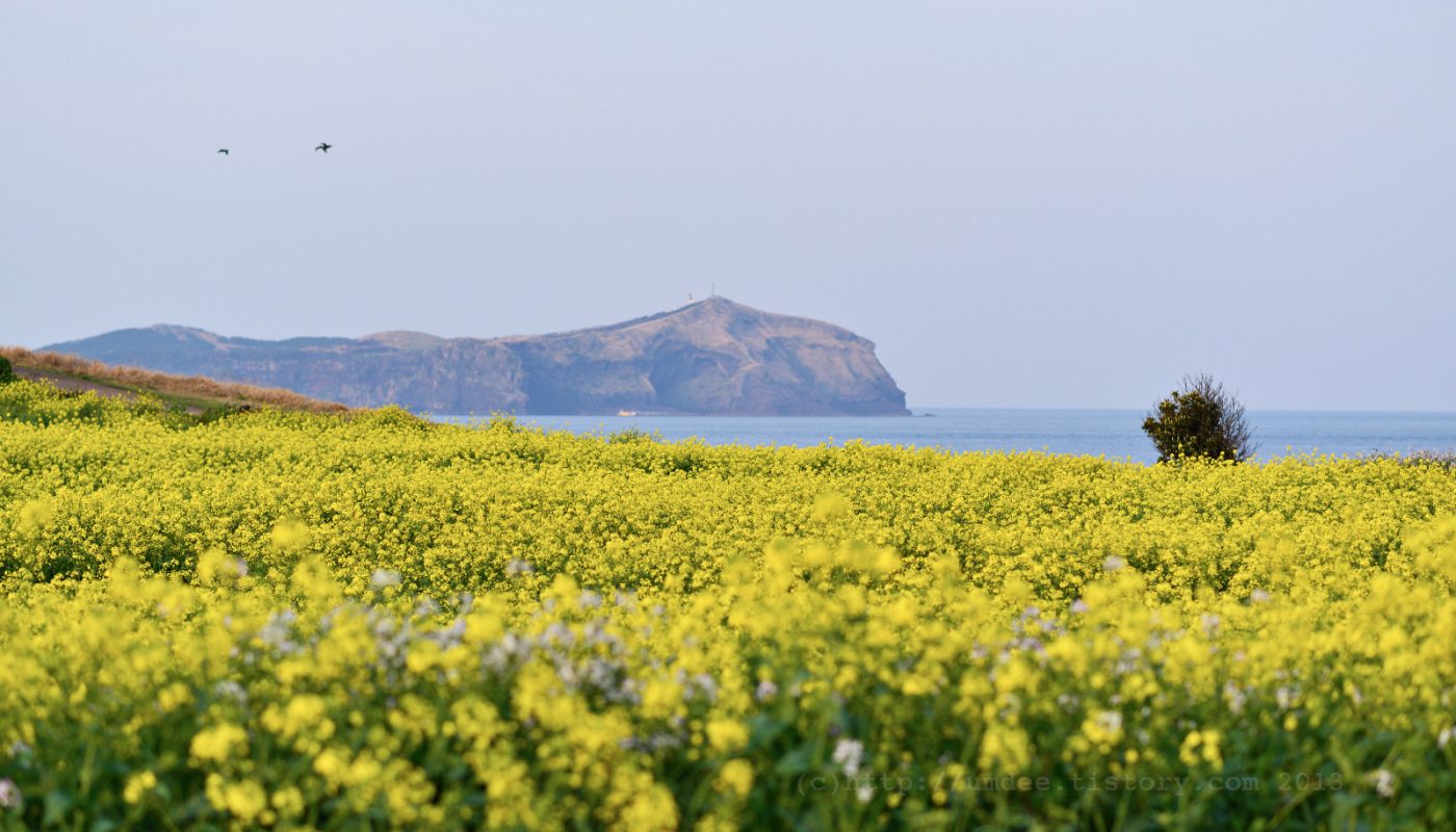   NIKON D800  2014-04-01 17:52:26  f/3.2 1/2000sec ISO-320 85mm