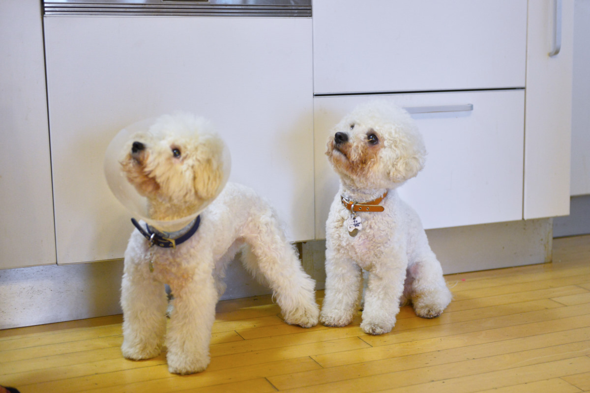 NIKON D800 2014-09-28 07:49:17 f/2.8 1/125sec ISO-2000 48mm