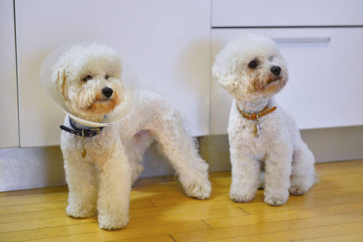 NIKON D800 2014-09-28 07:49:36 f/2.8 1/125sec ISO-2000 60mm