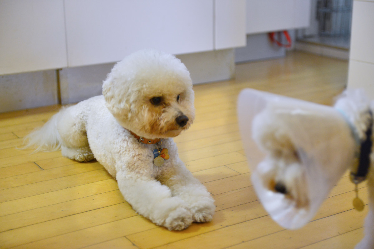 NIKON D800 2014-09-28 07:50:13 f/2.8 1/125sec ISO-3200 62mm