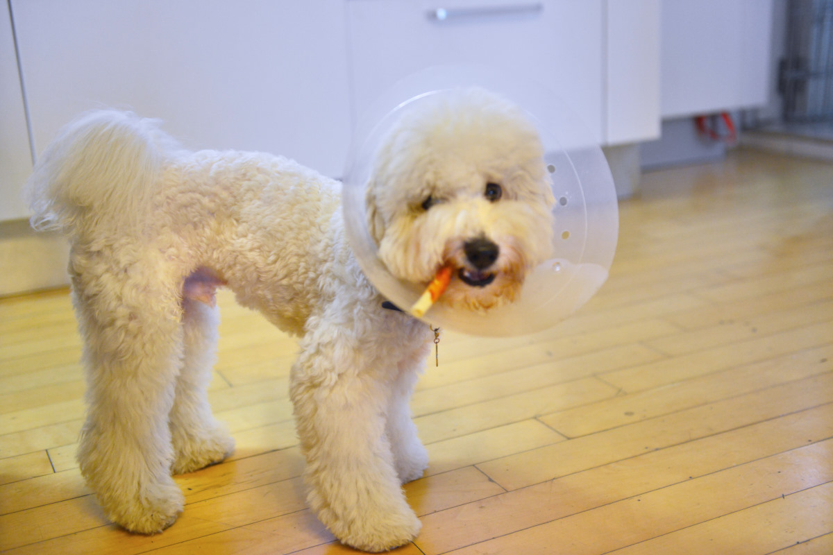 NIKON D800 2014-09-28 07:50:59 f/2.8 1/125sec ISO-2500 45mm