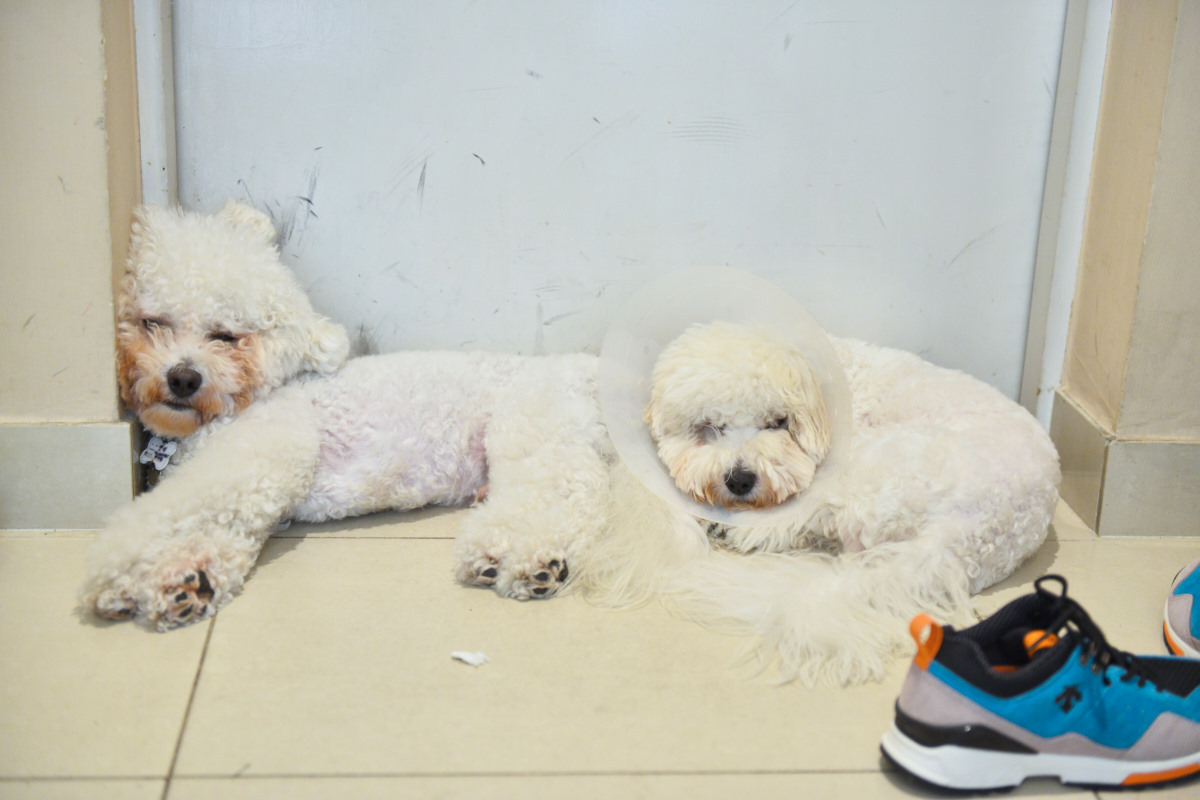 NIKON D800 2014-10-04 13:15:10 f/2.8 1/60sec ISO-1800 55mm