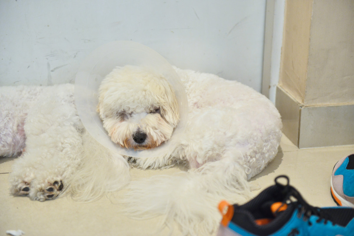 NIKON D800 2014-10-04 13:15:30 f/2.8 1/80sec ISO-2500 70mm