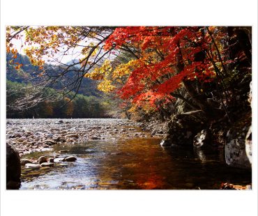 2015.10.17 백담사 단풍