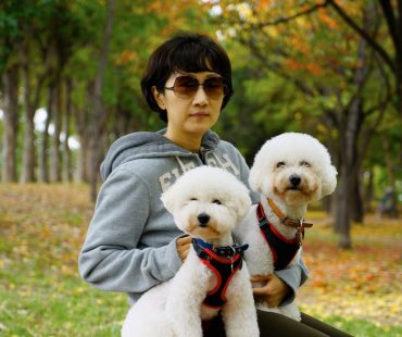 단풍산책 앤디 토비