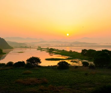 2014.5.9 우포늪 위양지