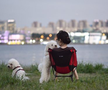 2014,9,9 앤디-토비