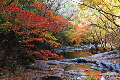 bdde47d8b29d353813b9870de648bf69