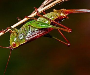 Everyday beauty under your feet and around us