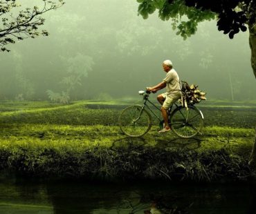 A quote from Lao Tzu