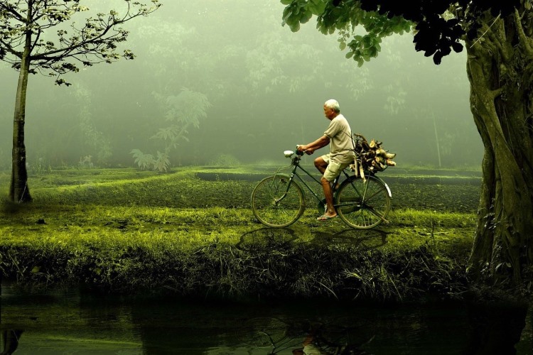 A quote from Lao Tzu